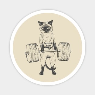 Siamese Cat Lift Magnet